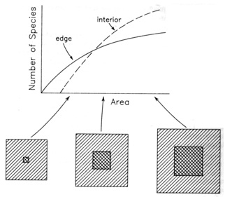 As patch size diminishes, interior habitat decreases faster than edge